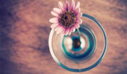 網(wǎng)上商城建設(shè)怎么做好內(nèi)容建設(shè)？