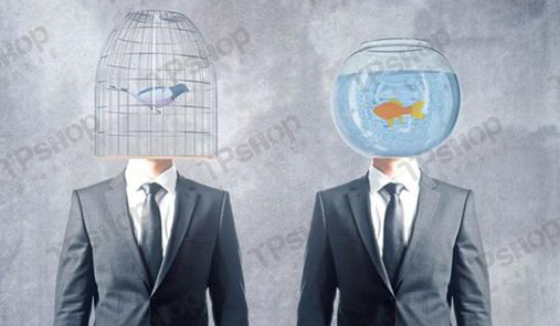 多用戶商城網(wǎng)站建設(shè)你了解多少？