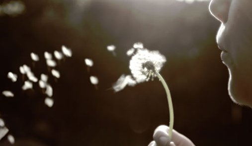 免費商城網(wǎng)站系統(tǒng)好用嘛？